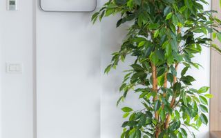 Apartament 3 camere, ultracentral, Oradea. 250 000 E + TVA. Comision 0 - Poză 16