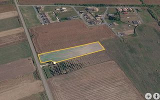 Teren intravilan 5.000 mp, Bucovăț, ideal dezvoltare case ! 0% Comision! - Poză 2