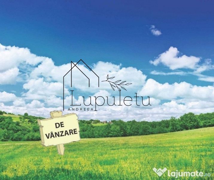 Teren 1300 MPU | Intravilan | Valea Avrigului  | - Poză 1