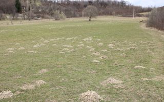 Pământ I Fereastră către Eternitate în  Transilvania - Poză 17