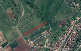 Teren Extravilan de Vânzare – 2.500 mp | Hamba | Zonă în Dezvoltare - Poză 3