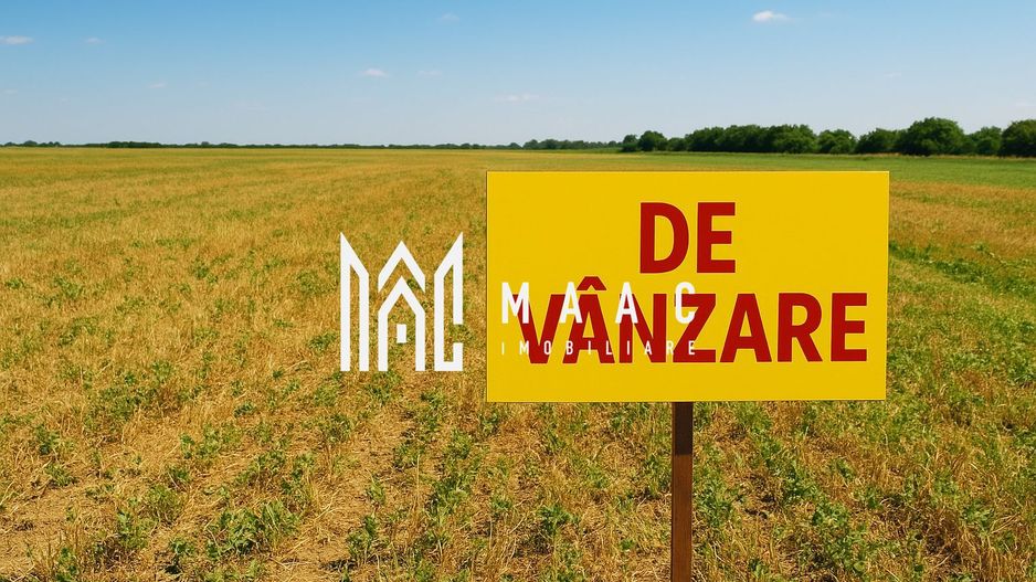 Teren | Extravilan |  2.269 MP | Daia - Poză 3