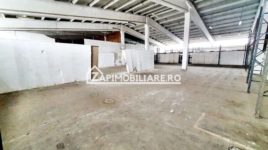 Hale cu suprafatade  220 mp si 440 mp zona Ambient - Poză 8