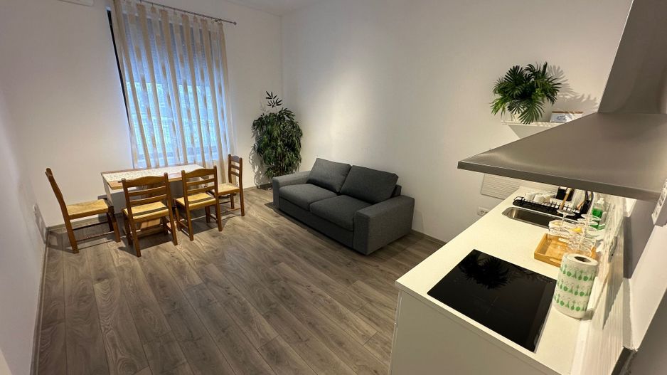 Casa Lipovei transformata in SAD - Poză 4