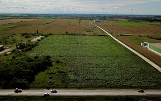 Parcele teren industrial cu PUZ - 3272 mp, Giarmata - Poză 5