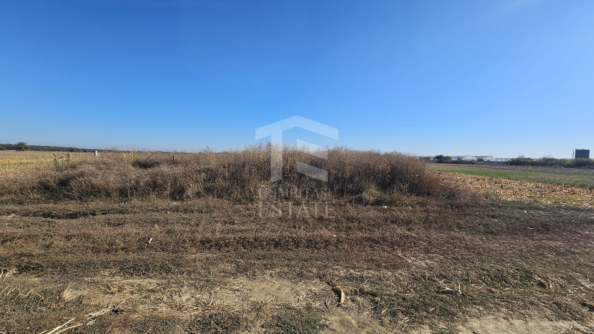 Copăceni - Ilfov - Teren intravilan arabil de vânzare - 1.148 mp - Poză 3