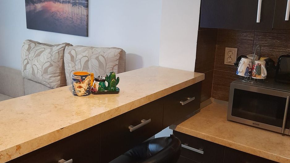 APARTAMENT 2 CAMERE | CLUCERULUI | ARCUL DE TRIUMF - Poză 3