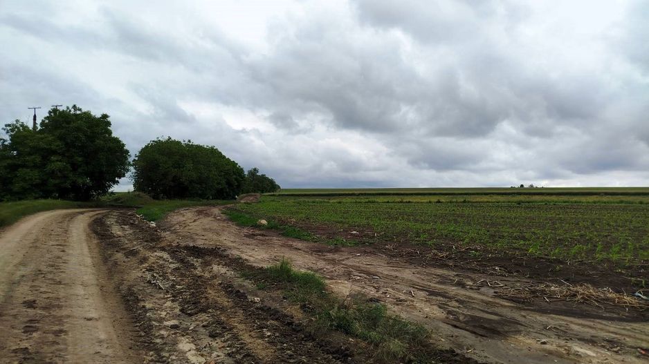 Teren Agricol de Vânzare – 78 Ari în Comuna Răzeni | Investiție cu Potențial! - Poză 4