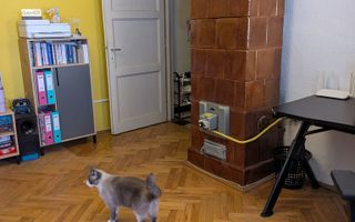 Apartament în bloc tip vilă balcon si beci– Astra, Brașov | Etaj 2/2 - Poză 11