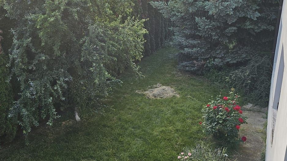 Vila 8 camere Dascalu - Poză 17