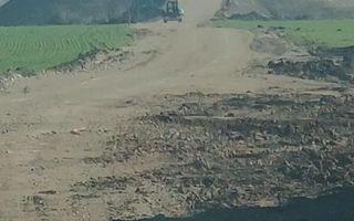 Teren de vanzare, Ordoreanu, Ferma de Struti, pret discutabil - Poză 2