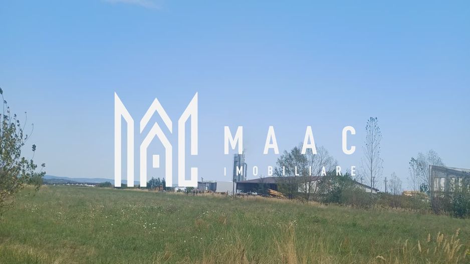 Teren | 10,000 MP | Extravilan | Posibilitate de parcelare | Cristian - Poză 1