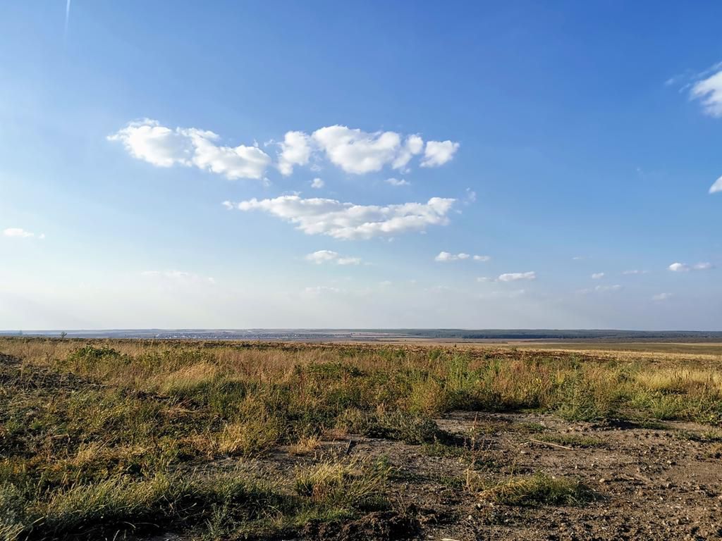 Ferma 415 ha comasat Timisoara NORD - Poză 5