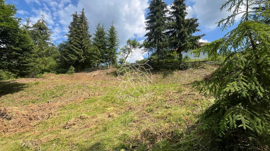 Teren intravilan 1074 mp cu utilitati-ideal pensiune, cabane-Colibita - Poză 1