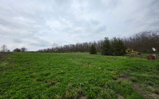 Balta pescuit, peisaj de vis,  padure-lac, investitie garantata - Poză 5