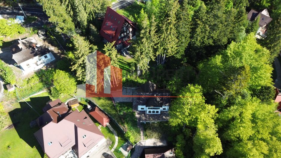 Vila Sinaia - Poză 2