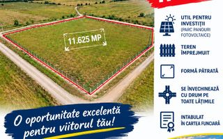 EXTRAV 11.625 MP – COTEȘTI, VRANCEA |  OPORTUNITATE PT INVESTITIE - Poză 1