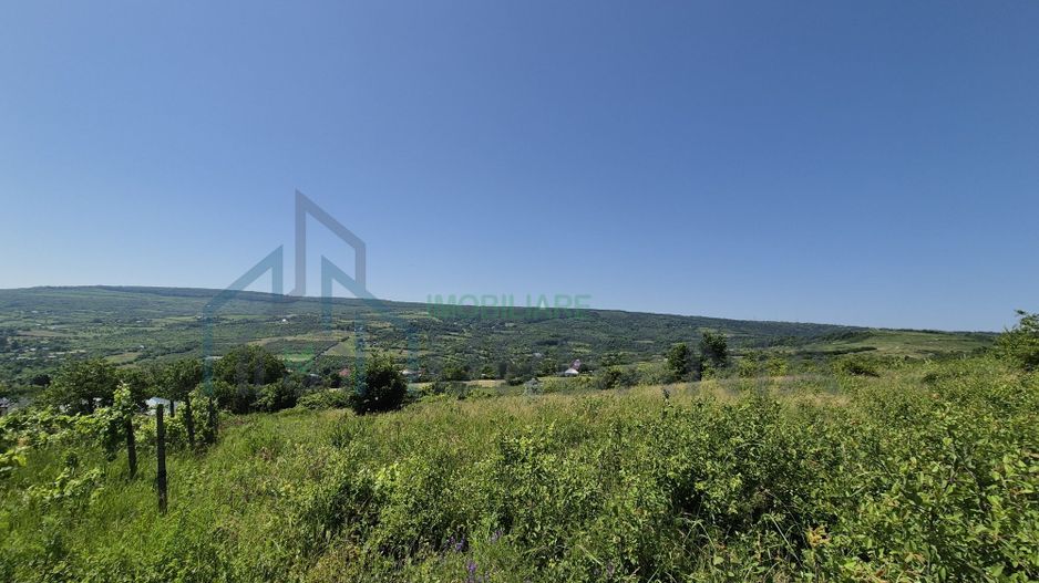 Teren intravilan de vânzare în Tomesti-Goruni – parcele de 700 mp și 3000 mp - Poză 1