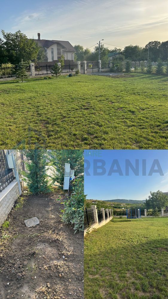 Teren intravilan 1000 mp, Iasi, Bucium, Str. Teascului - Poză 6