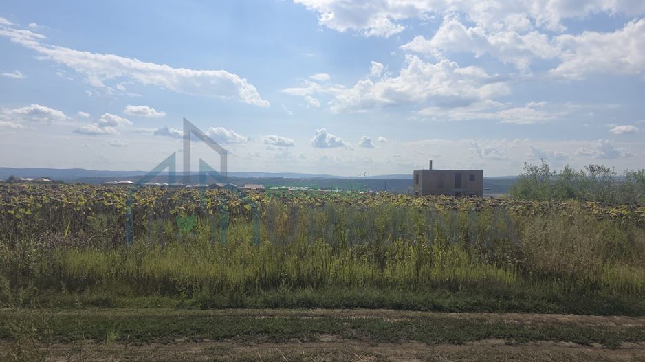 Teren construibil 500 mp, Platou Beldiman, Rediu - Poză 6