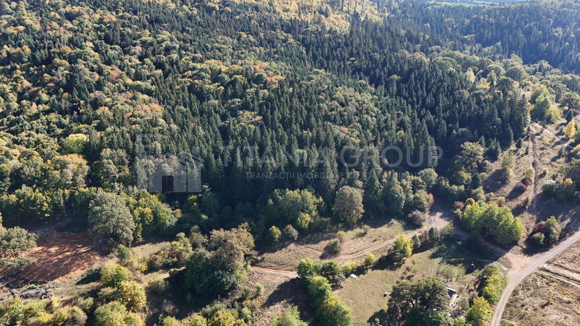 Aproape de Brașov, departe de agitație - Teren cu pădure în Cristian - Poză 10