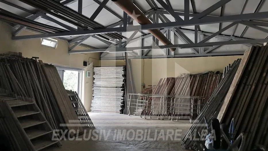 Hala industriala de vanzare - Poză 4