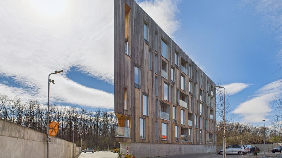 Apartament 2 camere, 50 mp, mobilat, Loft Green Mogoșoaia - Poză 7