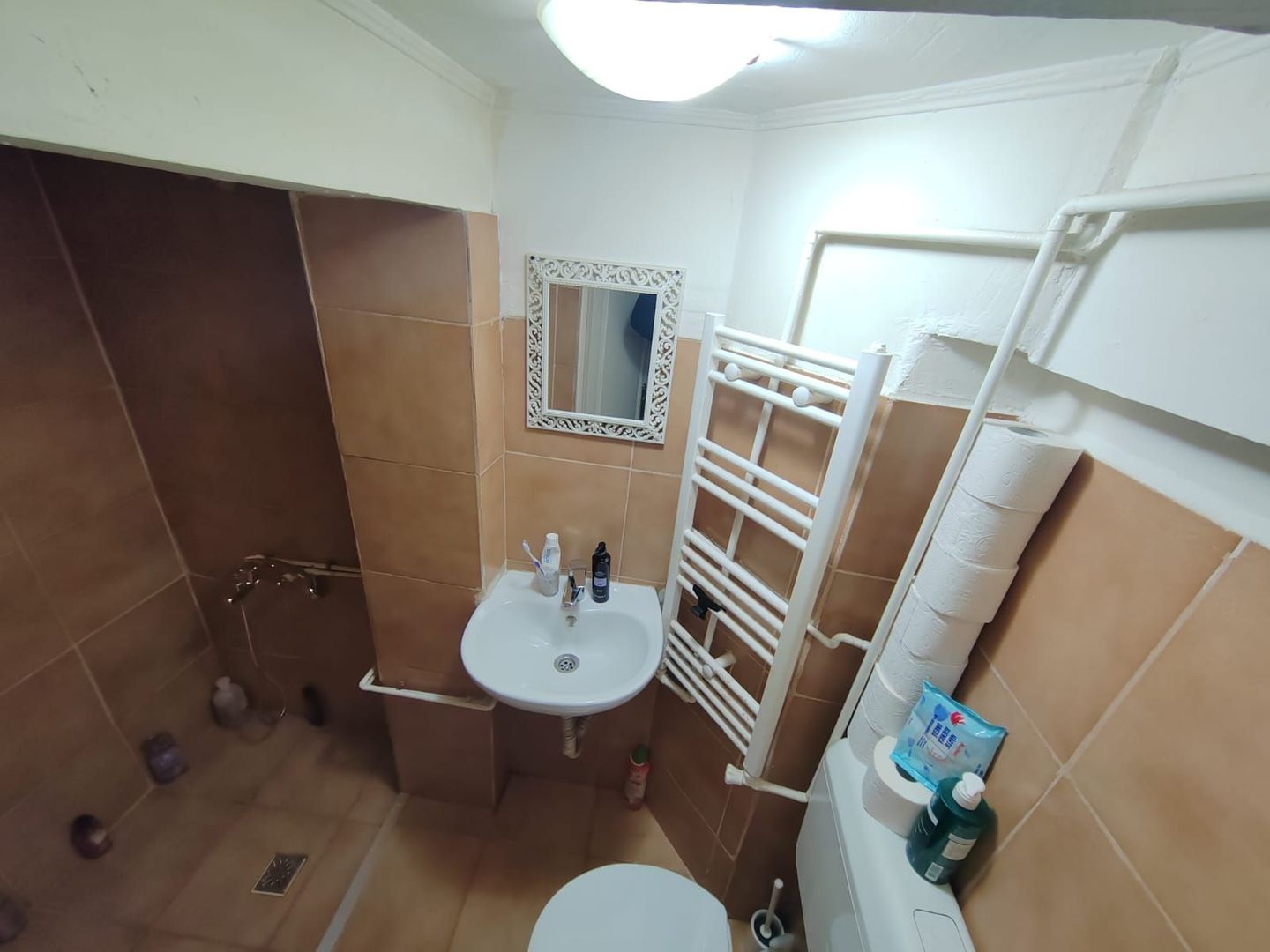 Mosilor Spatarului casa 3 camere - Poză 9