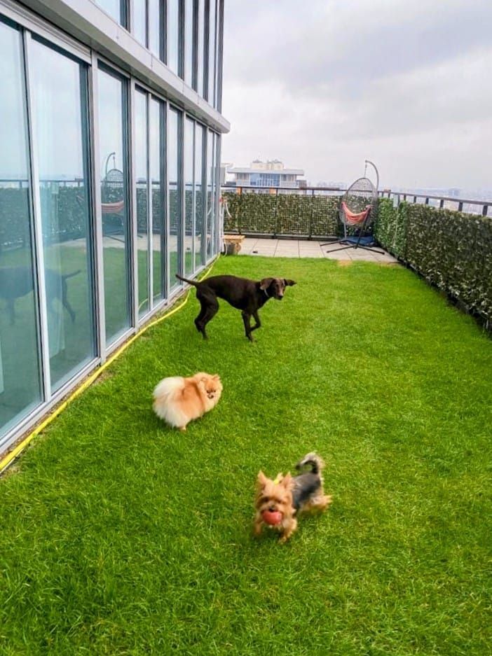 Penthouse Asmita Gardens | terasa 99 mp | Splaiul Unirii - Poză 48