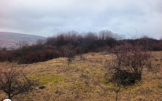 Teren de vânzare intravilan 8500 mp Chinteni Cluj oportunitate investitie - Poză 5