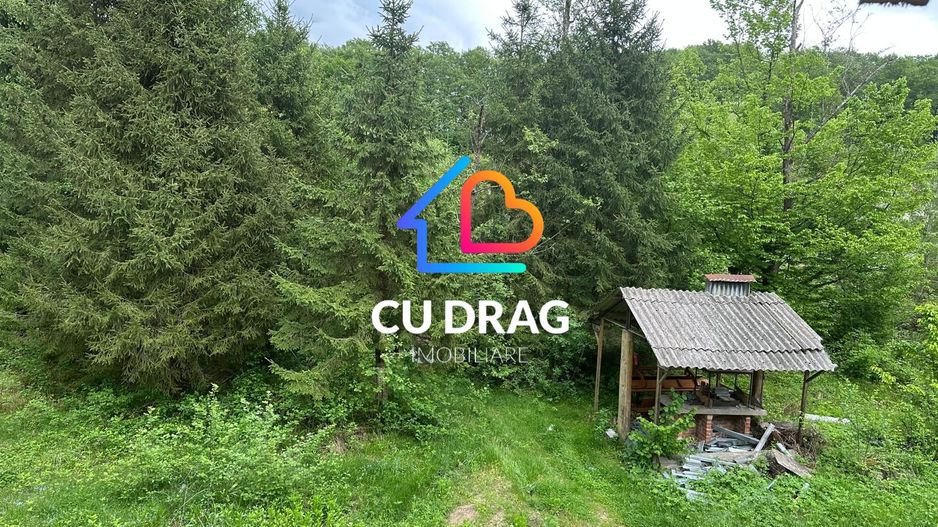 Investiție cu suflet: Pensiune de vânzare pe Valea Avrigului - Poză 10