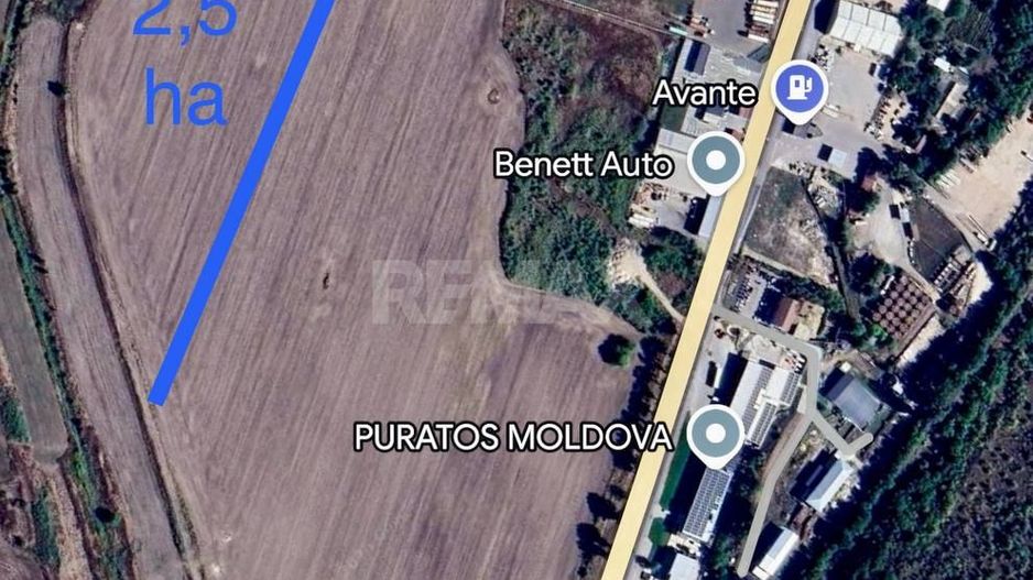 Teren agricol de vânzare 2,5 ha Singera/Avânte - Poză 1