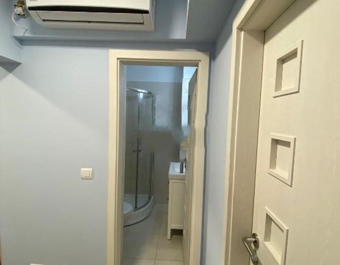 Apartament 3 camere zona Basarabiei - Costin Georgian - Carei - Poză 8