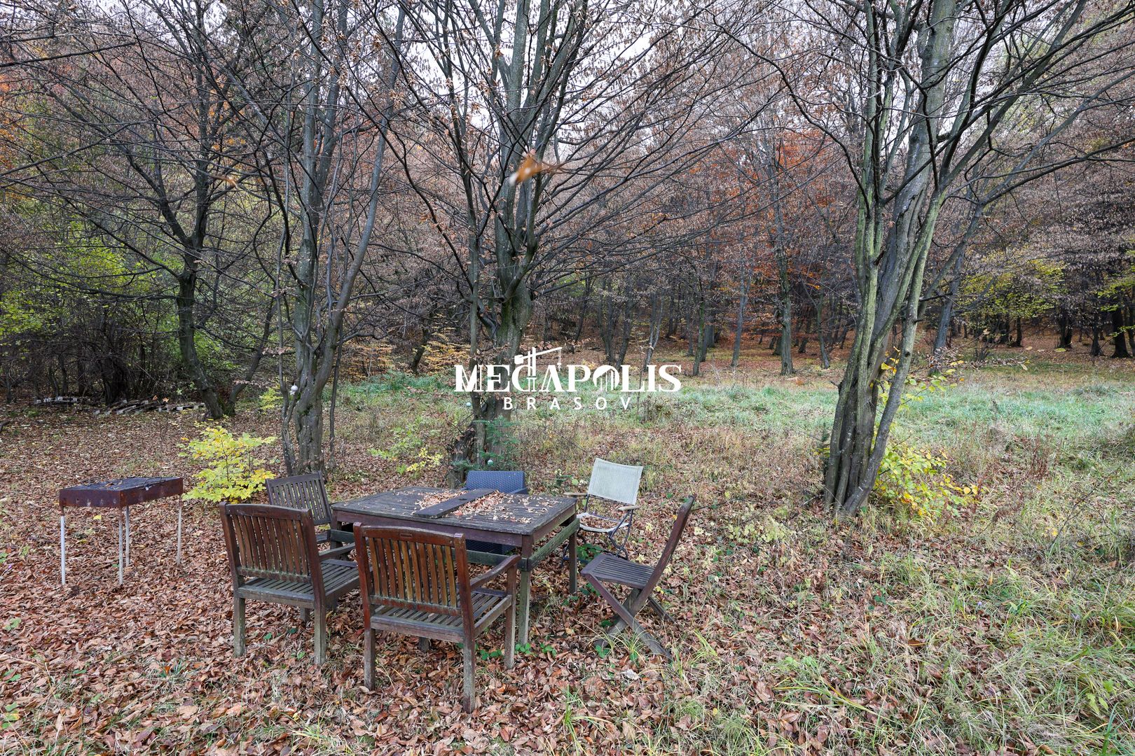 Iesire direct in Padure / Green Park Villas - Poză 8