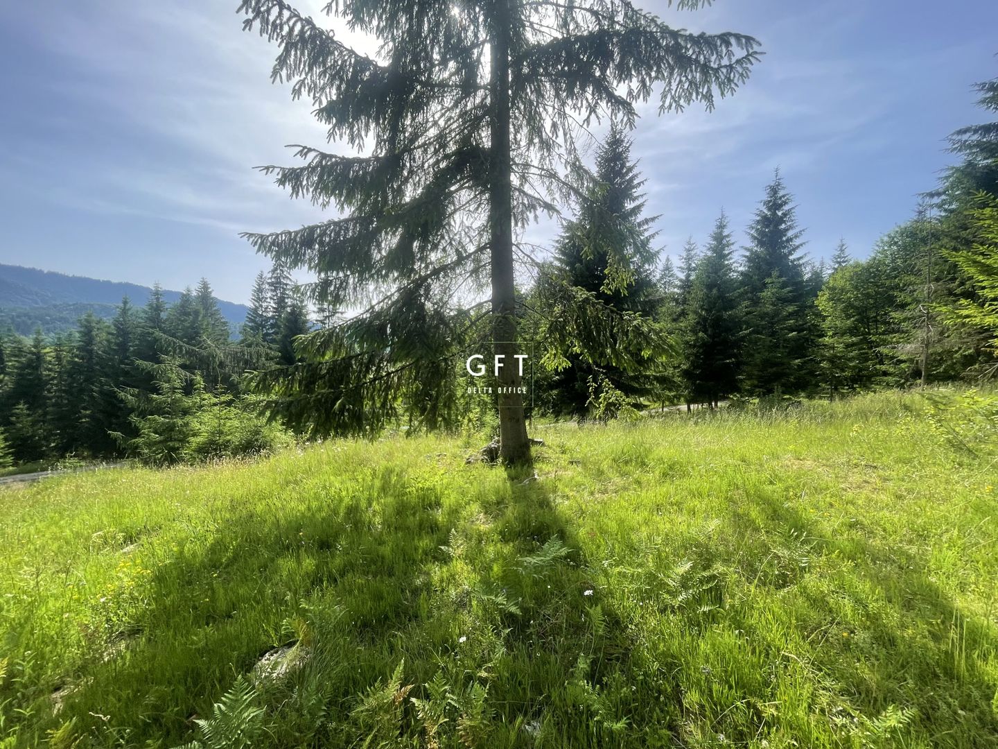 Teren de vanzare Colibita ! EXCLUSIVITATE! - Poză 3