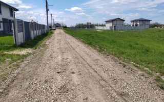 🌿 Teren de vânzare – Răcari, Str. Mestecenilor - Intrarea cu Tei - Poză 9