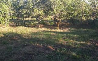 SUPER OFERTĂ: 5000 mp,gaze,canalizare, curent jud Iasi Loc. Ceplenita - Poză 1