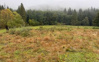 Teren Extravilan | 6.100 mp | Brodina | 41.500 € negociabil - Poză 10