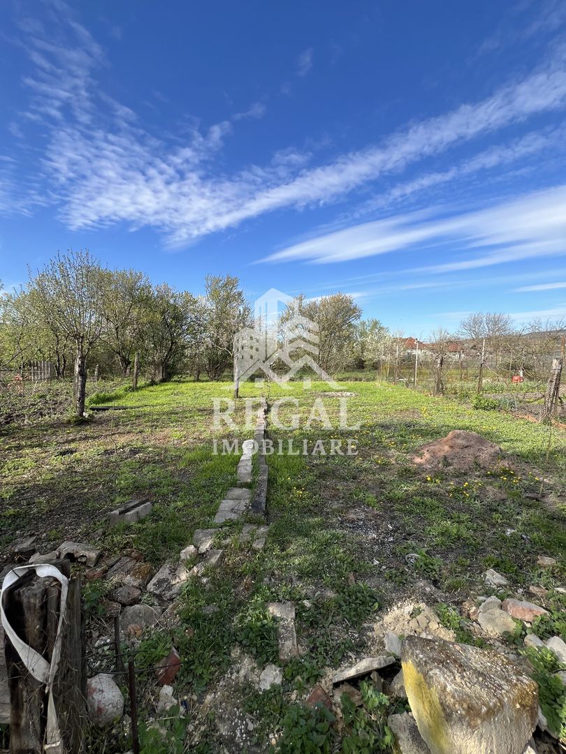 Casă de vânzare în Călanul Mic –  2 clădiri, curte, grădină, garaj - Poză 17