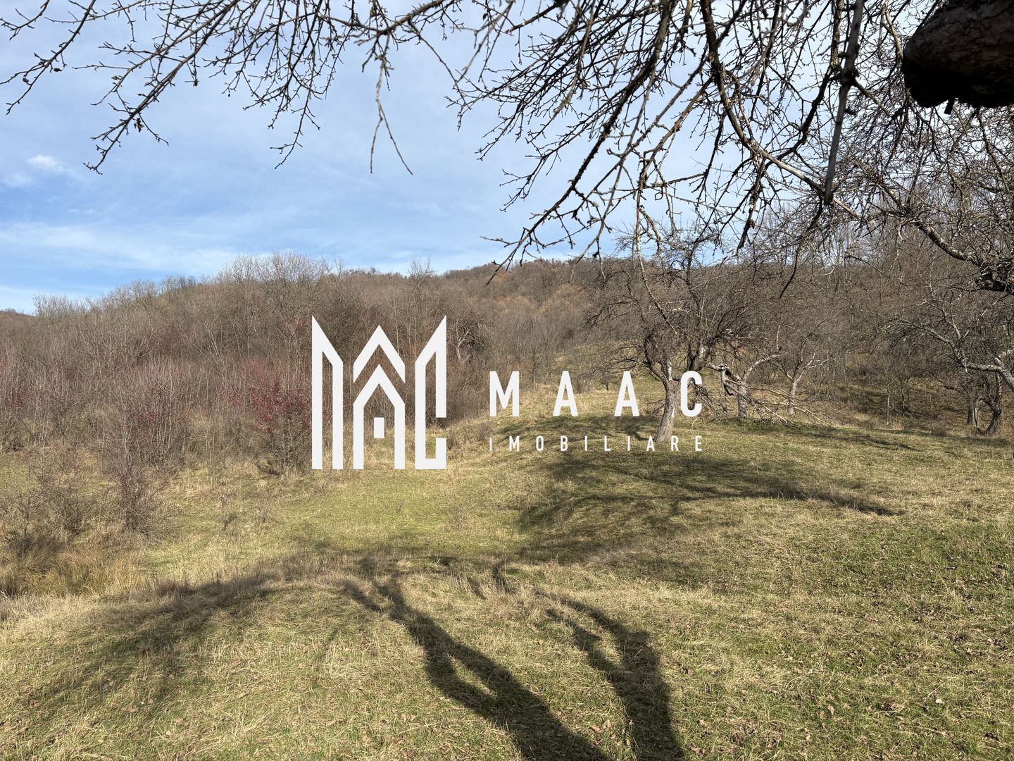 Teren  extravilan I 5300 mpI  Salatrucel -Calimanesti - Poză 3