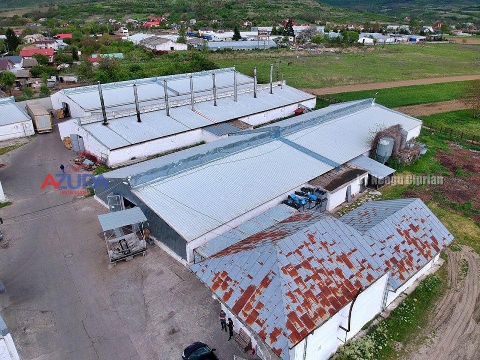 COMISION 0% - HALE Calinesti Arges - Poză 82