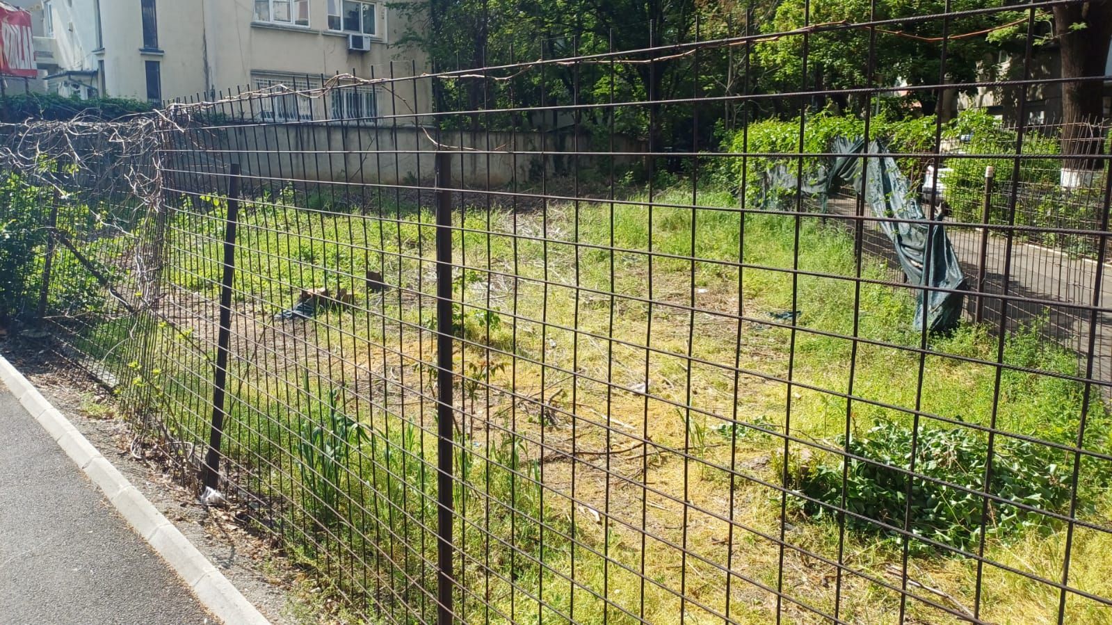 Teren de vanzare 400 mp | Ion Mihalache | Autorizatie de constructie - Poză 2