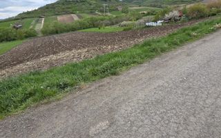 Teren de vanzare in Sibiu - Poză 2