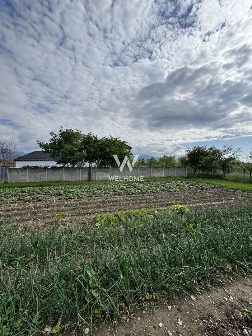 Casa individuala in Arpasu de Sus, teren mare, partial renovata - Poză 24