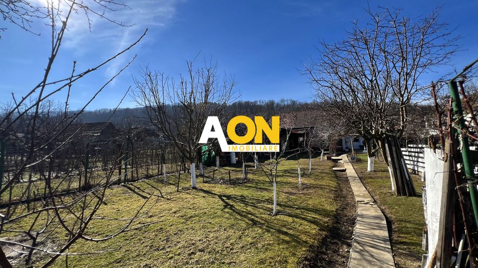 Casa de vanzare pretabila 2 familii, garaj, livada, comuna Pianu - Poză 38