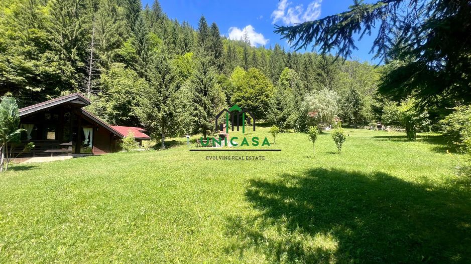 Proprietate deosebita de vanzare – Voinesița, Comuna Voineasa - Poză 9