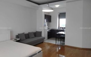 Garsonieră spațioasă de închiriat | Herăstrău - Poză 3