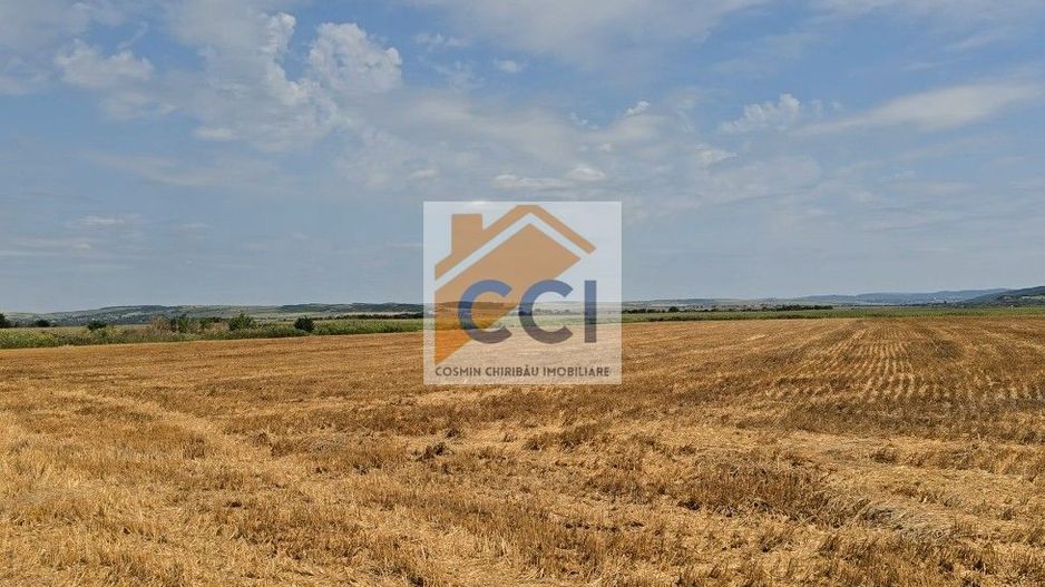 Teren intravilan– 50.000 mp, Bacău, Șoseaua Hol - Poză 8