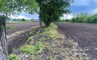 Teren Intravilan | 22 ARI | Horodnic De Jos - Poză 2