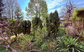 COMISION 0% - TEREN INTRAVILAN + CASA - LA 1,4 KM DE SOS. NICOLINA - Poză 3